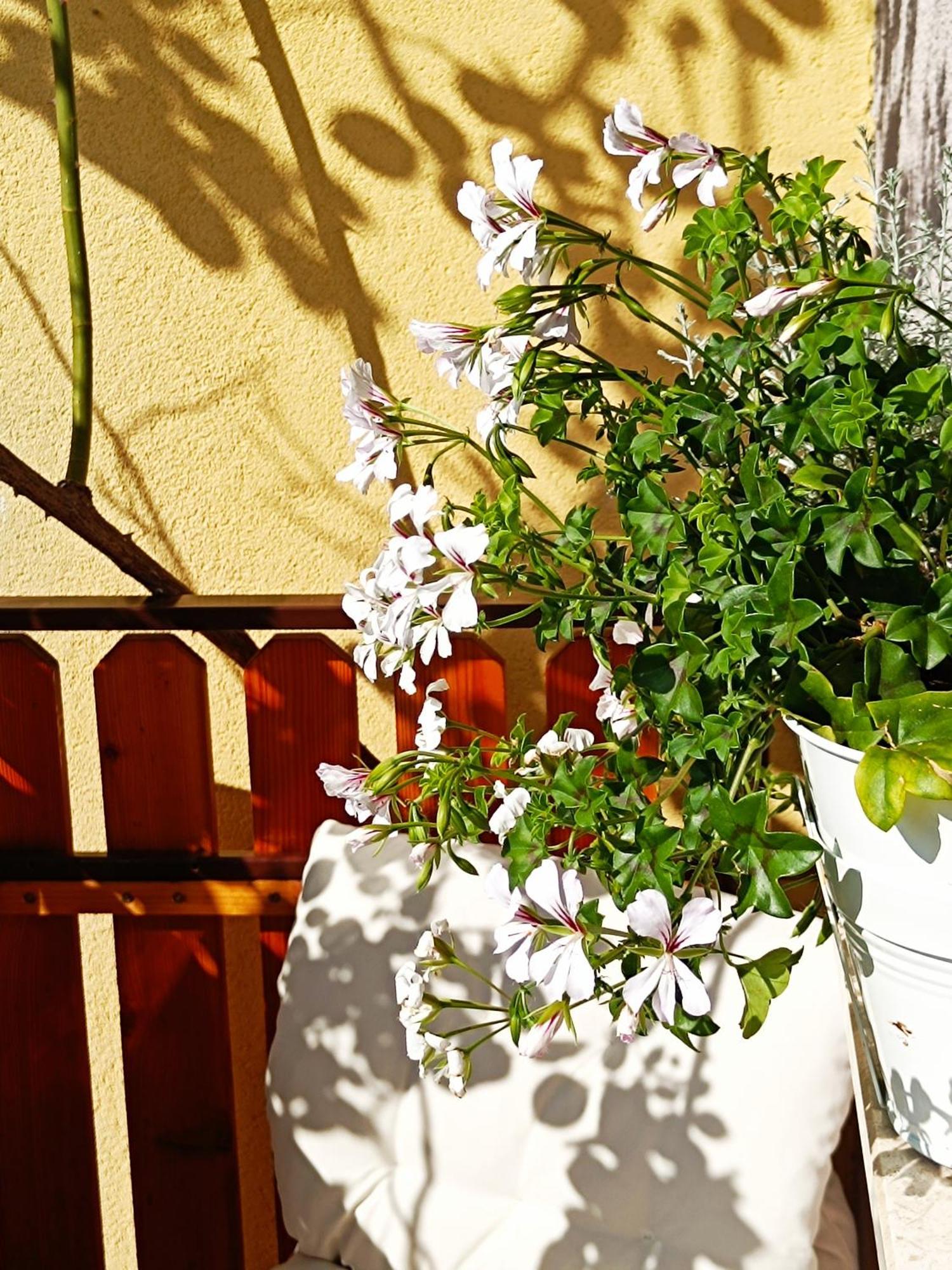 Holiday Home Kristi Bovec Exterior foto